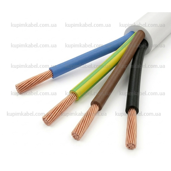 Провід ПВСнг 4х1,0