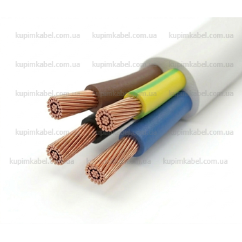 Провід ПВСнг 4х6,0